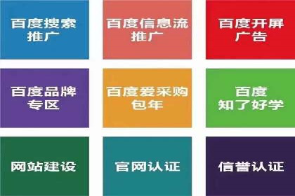 百度网络推广案例分享：低成本打造爆款品牌，助力企业腾飞